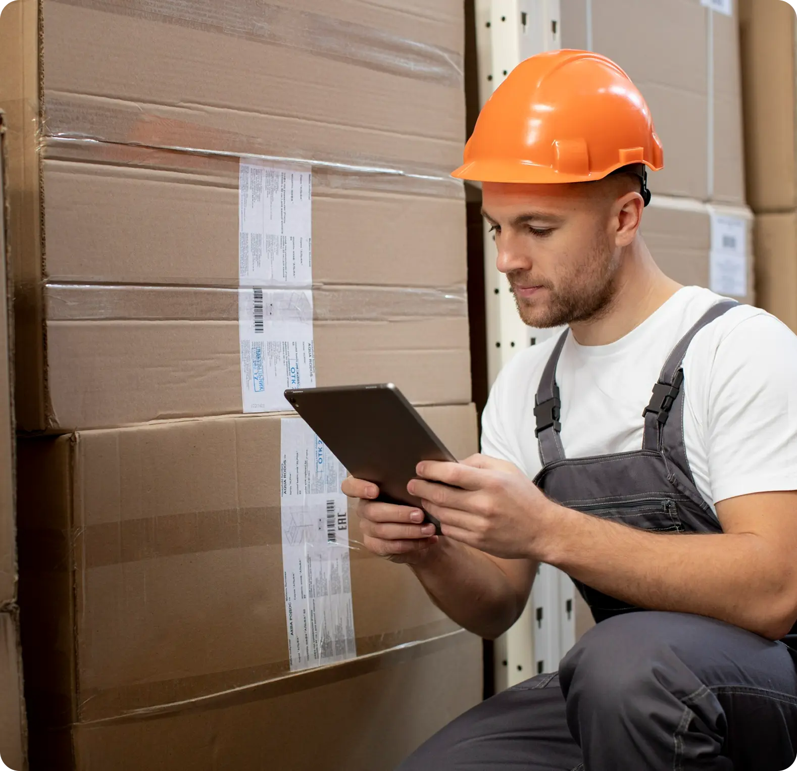 Delaine Technologies Client Success and Business Impact